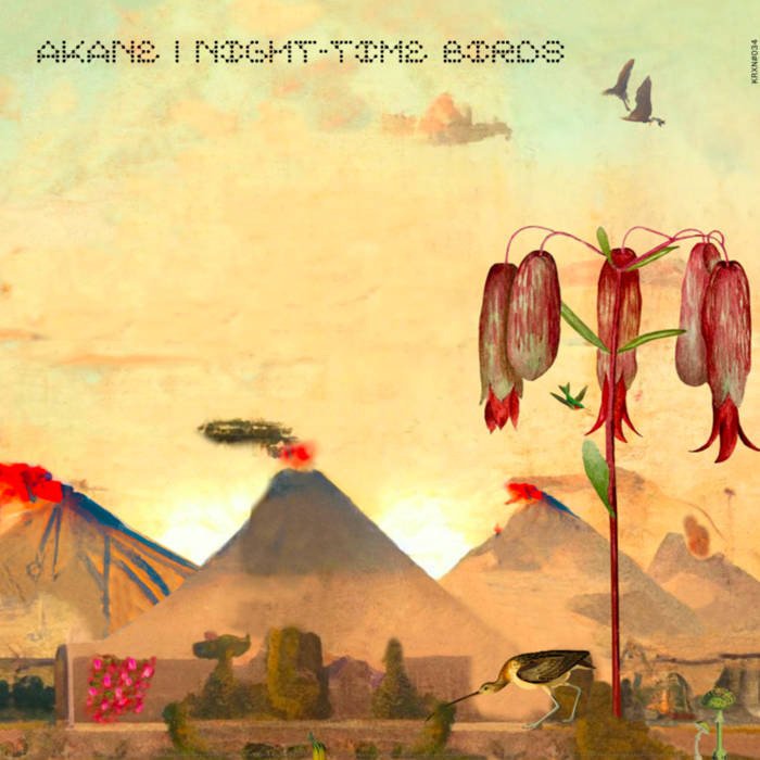CD Shop - AKANE NIGHT-TIME BIRDS