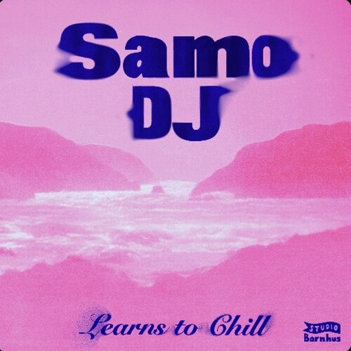 CD Shop - SAMO DJ LEARNS TO CHILL