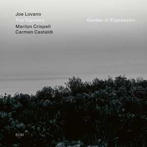 CD Shop - JOE -TRIO TAPESTRY- LOVANO GARDEN OF EXPRESSION
