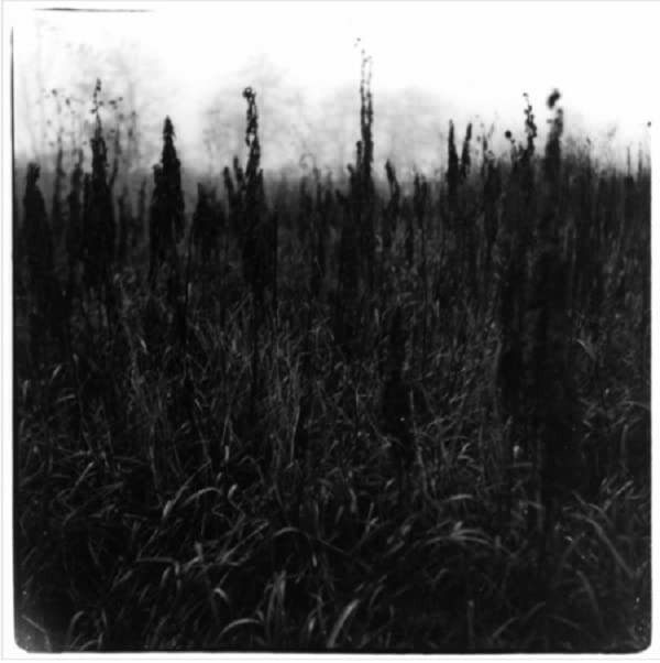 CD Shop - DAVID & VILHELM BROMANDER BENNET WITHIN REACH OF..