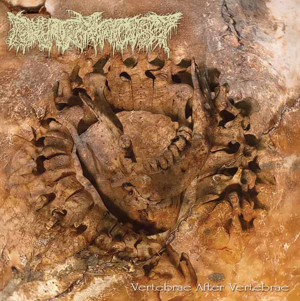 CD Shop - PHARMACIST VERTEBRAE AFTER VERTEBRAE