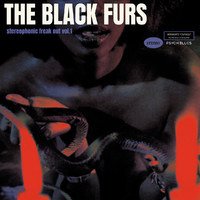 CD Shop - BLACK FURS STEREOPHONIC FREAK OUT...