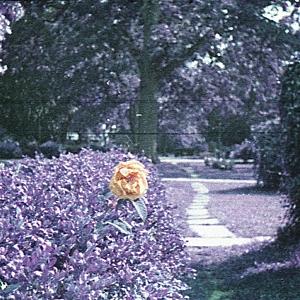 CD Shop - HOUR SUBMINIATURE