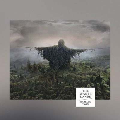 CD Shop - GAZELLE TWIN WASTELANDS