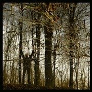 CD Shop - APOPTOSE BANNWALD -LTD/COLOURED-