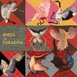 CD Shop - THOMAS DOLLBAUM BIRDS OF PARADISE