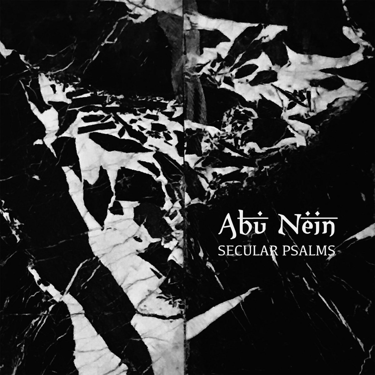 CD Shop - ABU NEIN SECULAR PSALMS