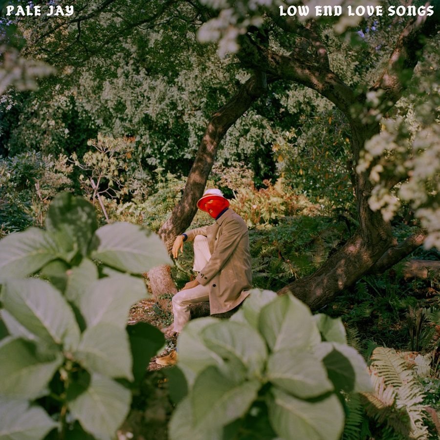 CD Shop - PALE JAY LOW END LOVE SONGS