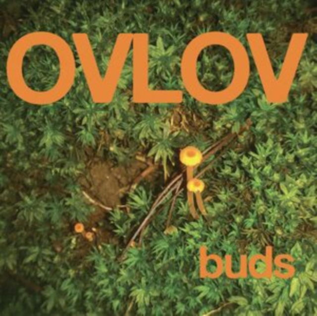 CD Shop - OVLOV BUDS