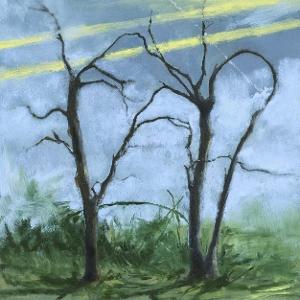 CD Shop - DAFFO WHERE THE EARTH BENDS