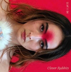CD Shop - ANN LIU CANNON CLEVER RABBITS