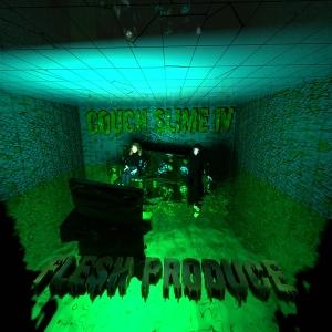 CD Shop - FLESH PRODUCE COUCH SLIME 1V