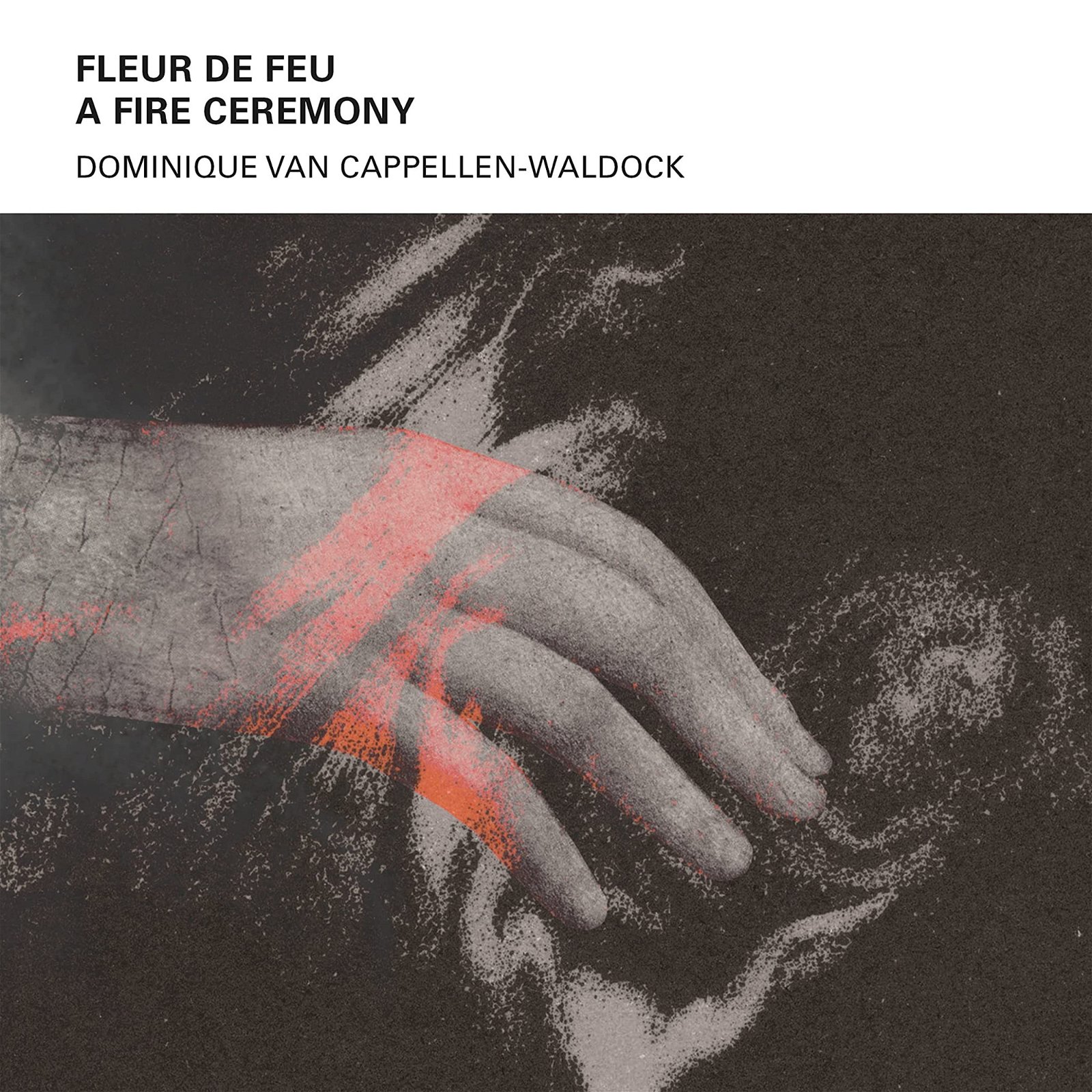 CD Shop - VAN DOMINIQUE CAPPELLEN-WALDOCK FLEUR DE FEU A - FIRE ...