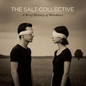 CD Shop - THE SALT COLLECTIVE A BRIEF HISTORY OF BLI...