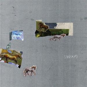 CD Shop - FAZED ON A PONY SWAN