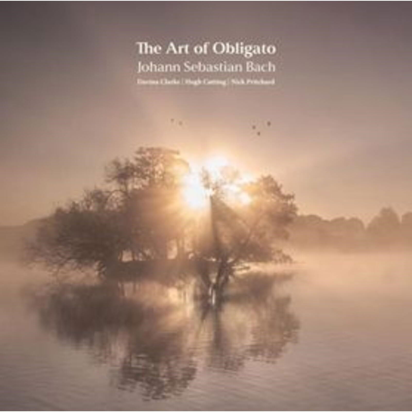CD Shop - DAVINA CLARKE ART OF OBLIGATO