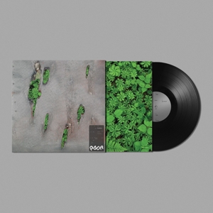 CD Shop - KORELESS AGOR