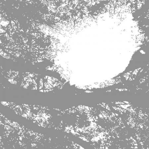 CD Shop - COMETS ON FIRE FIELD RECORDINGS FROM THE