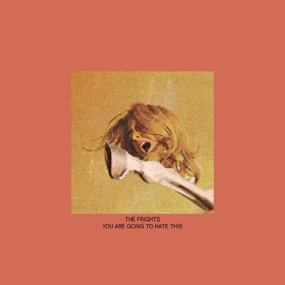 CD Shop - THE FRIGHTS YOU ARE GOING TO HATE ...