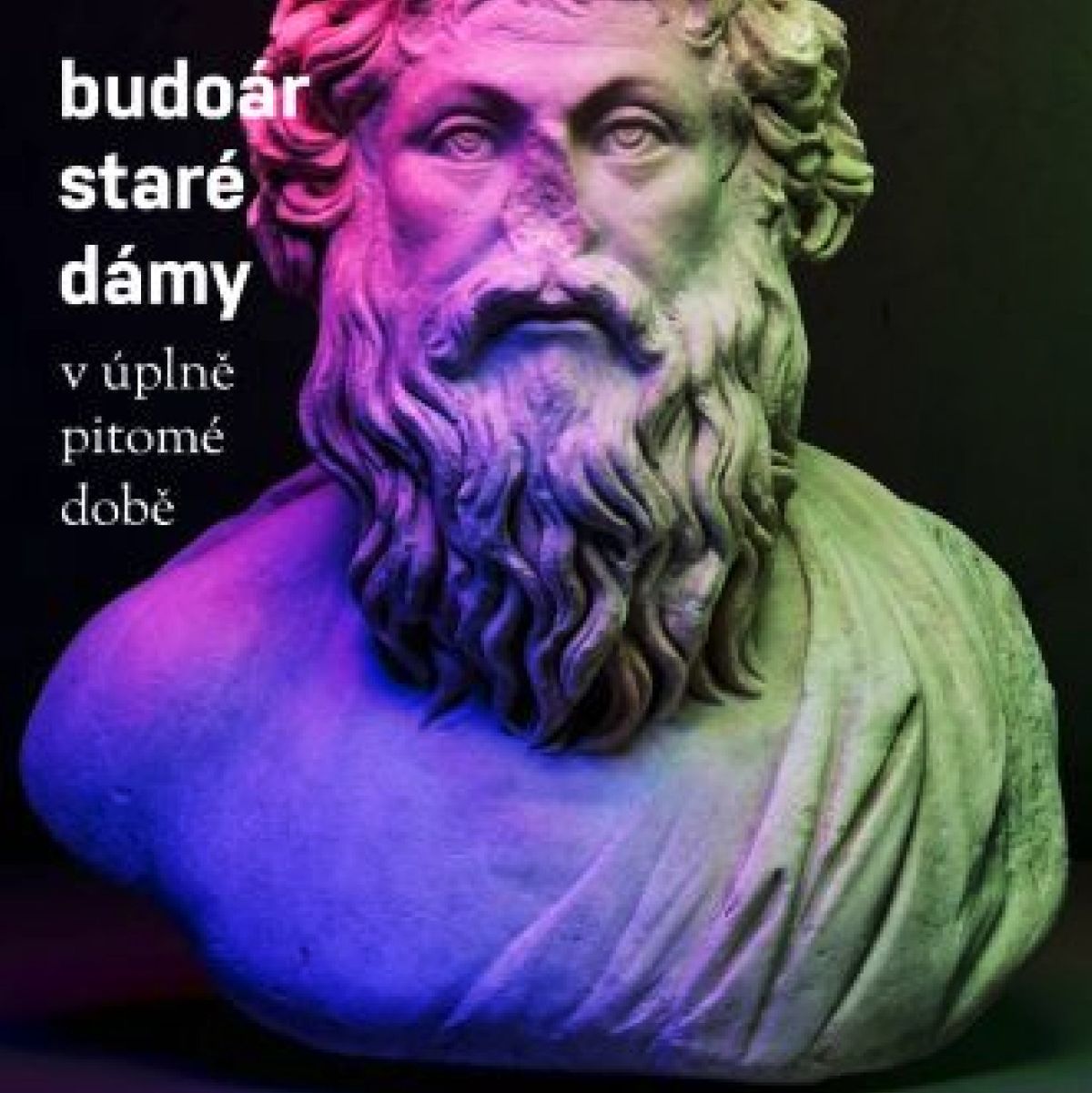 CD Shop - BUDOáR STARé DáMY  V úplně pitomé době