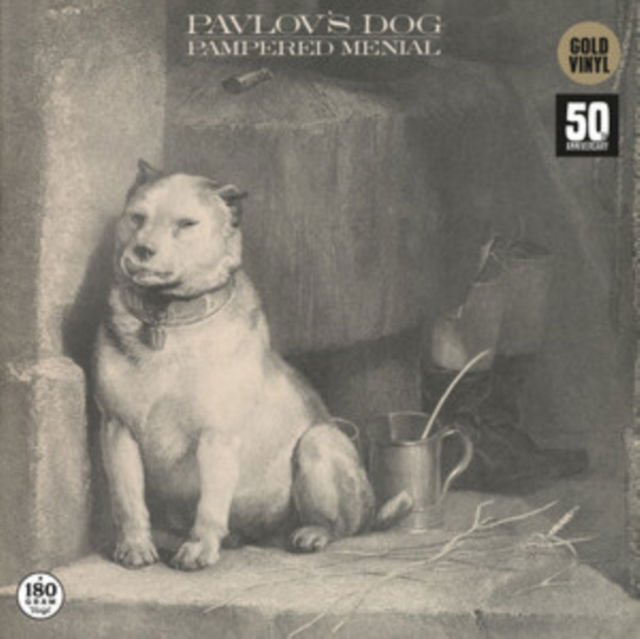CD Shop - PAVLOU\