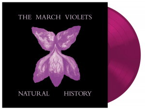 CD Shop - THE MARCH VIOLETS NATURAL HISTORY