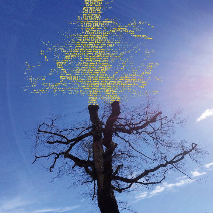 CD Shop - LAETITIA SADIER ROOTING FOR LOVE