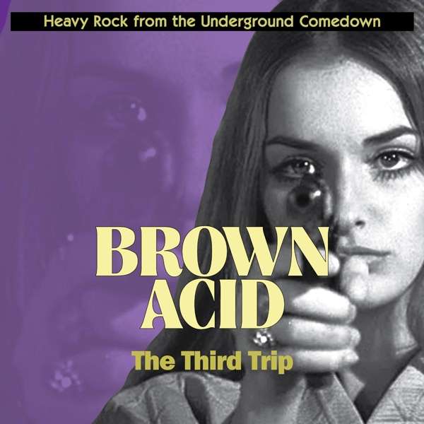 CD Shop - VARIOUS ARTISTS BROWN ACID: THIRD TRIP