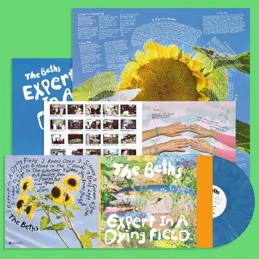 CD Shop - THE BETHS EXPERT IN A DYING FIELD