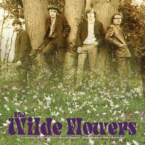 CD Shop - WILDE FLOWERS WILDE FLOWERS