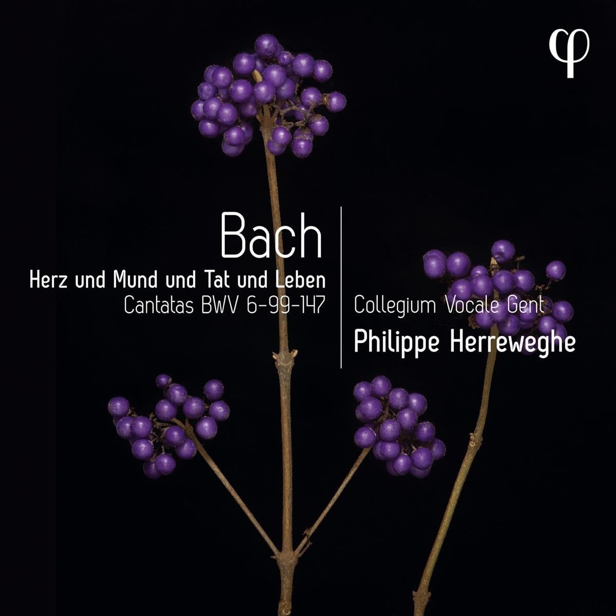 CD Shop - PHILIPPE HERREWEGHE HERZ UND MUND UND TAT ...