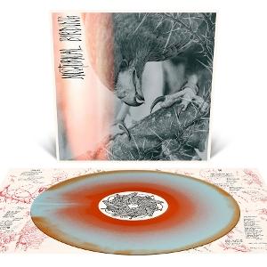CD Shop - AUTHOR & PUNISHER NOCTURNAL BIRDING