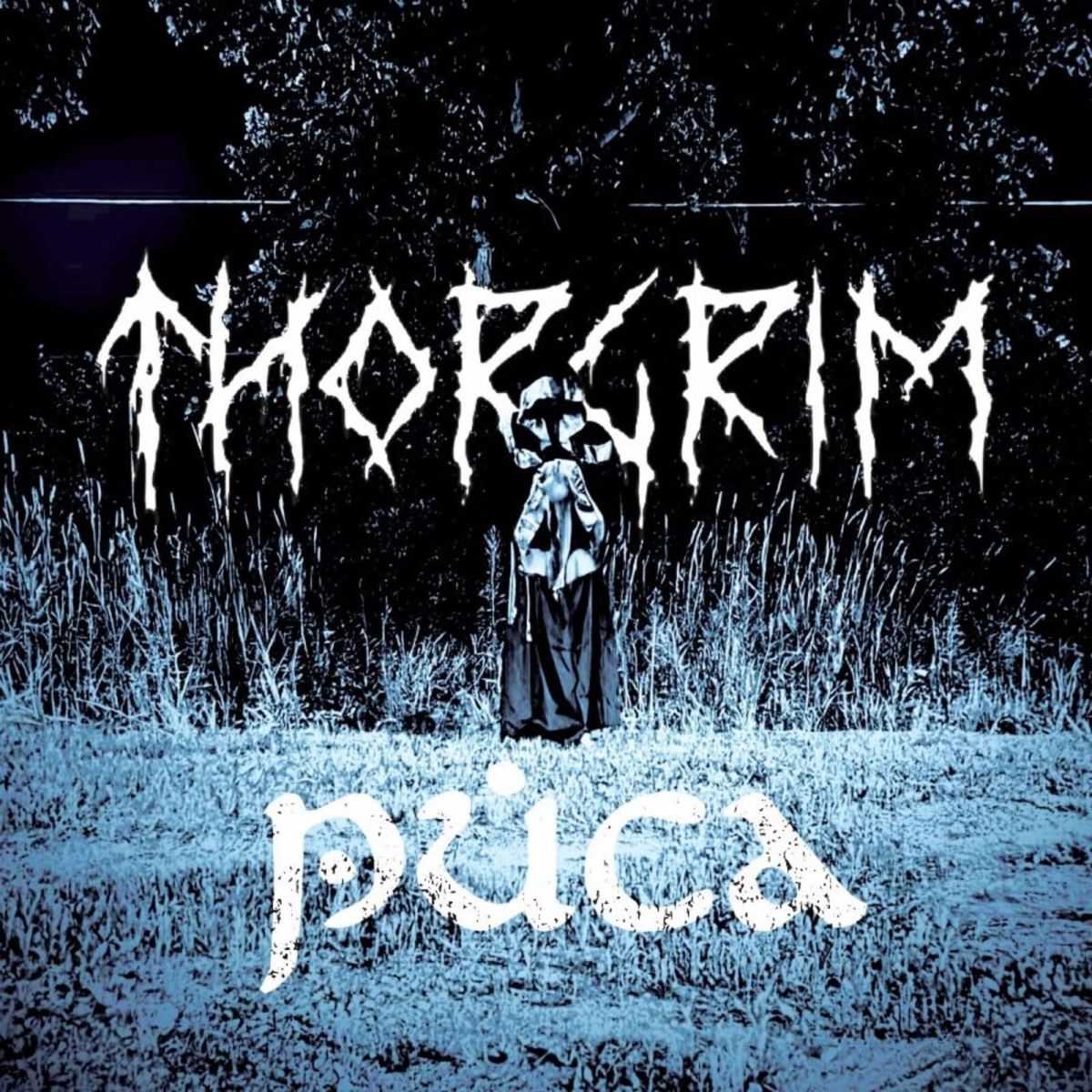 CD Shop - THORGRIM PUCA