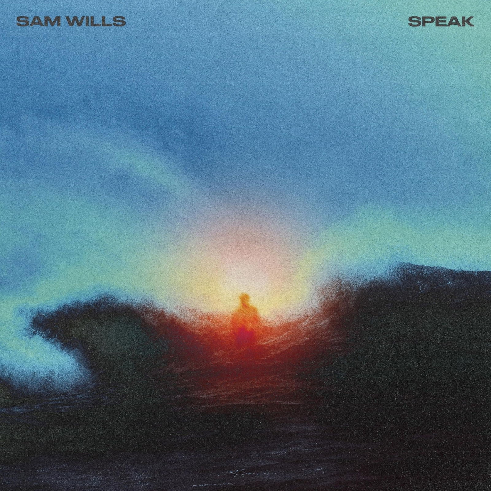 CD Shop - SAM WILLS SPEAK