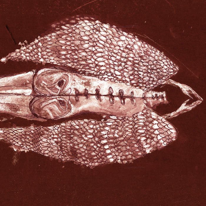 CD Shop - CERBERUS SHOAL HOMB