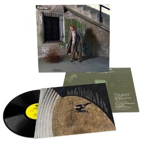 CD Shop - COLE BERLINER BLACK DOOR