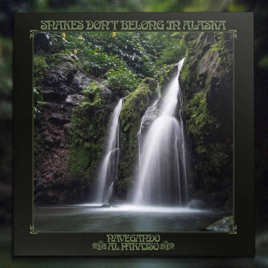 CD Shop - SNAKES DON\