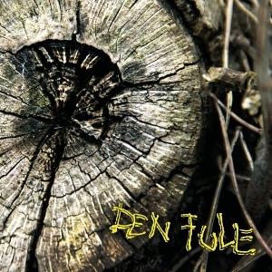 CD Shop - DEN FULE DEN FULE