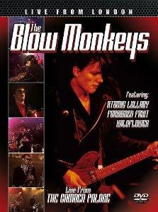 CD Shop - THE BLOW MONKEYS LIVE FROM LONDON