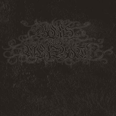 CD Shop - BORIS WITH MERZBOW 4092001 SILVER LTD.