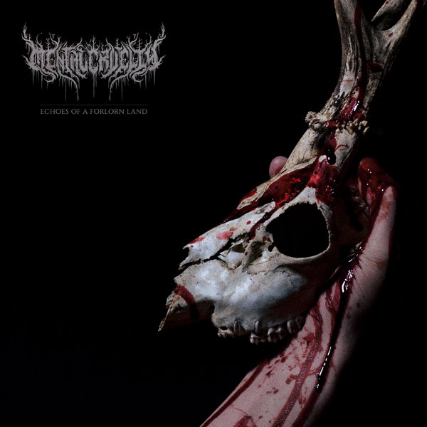 CD Shop - MENTAL CRUELTY Echoes of a Forlorn Land