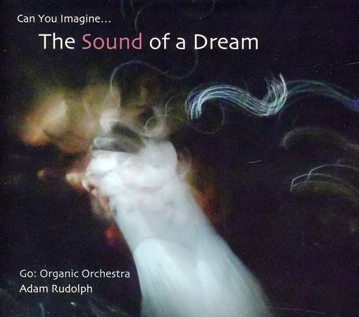 CD Shop - GO: ORGANIC ORCHESTRA CAN YOU IMAGINE... THE...