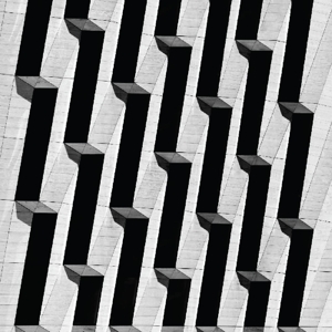CD Shop - SNOW PALMS EVERYTHING ASCENDING