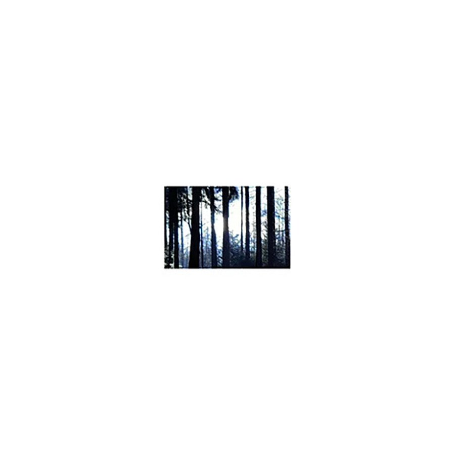 CD Shop - ANOM VITRUV 6.4311