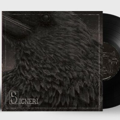 CD Shop - SIGNERI SIGNERI