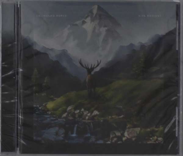 CD Shop - CALIGULA\