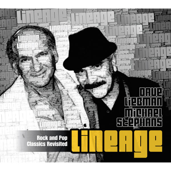 CD Shop - DAVE LIEBMAN,MICHAEL STEPHANS LINEAGE ROCK AND POP C...