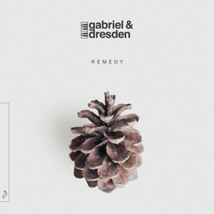 CD Shop - GABRIEL & DRESDEN REMEDY
