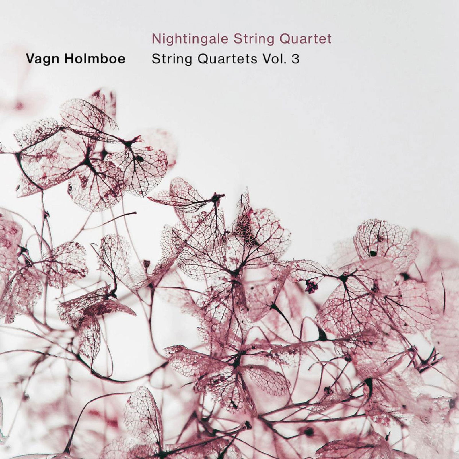 CD Shop - NIGHTINGALE STRING QUARTET HOLMBOE: STRING QUARTE...