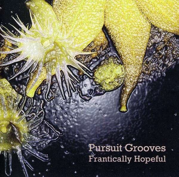 CD Shop - PURSUIT GROOVES FRANTICALLY HOPEFUL